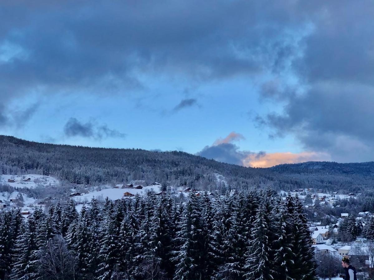 Le Bois Des Neiges Charmant Chalet Authentique A 5 Mn De Gerardmer Ксонруп-Лонжеме Екстериор снимка