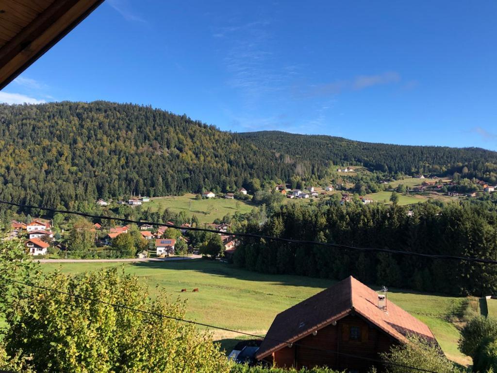Le Bois Des Neiges Charmant Chalet Authentique A 5 Mn De Gerardmer Ксонруп-Лонжеме Екстериор снимка
