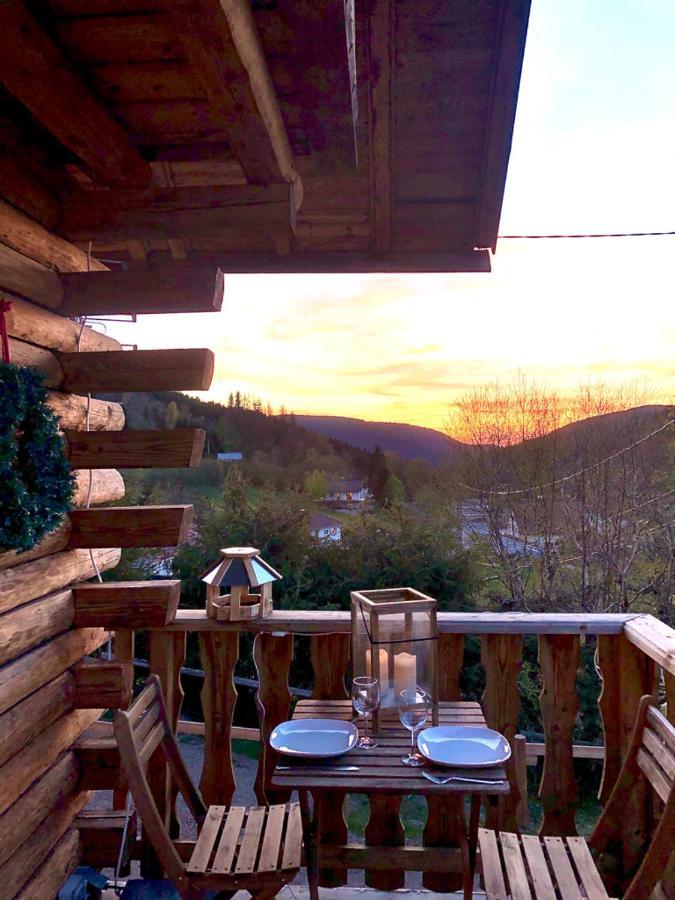 Le Bois Des Neiges Charmant Chalet Authentique A 5 Mn De Gerardmer Ксонруп-Лонжеме Екстериор снимка