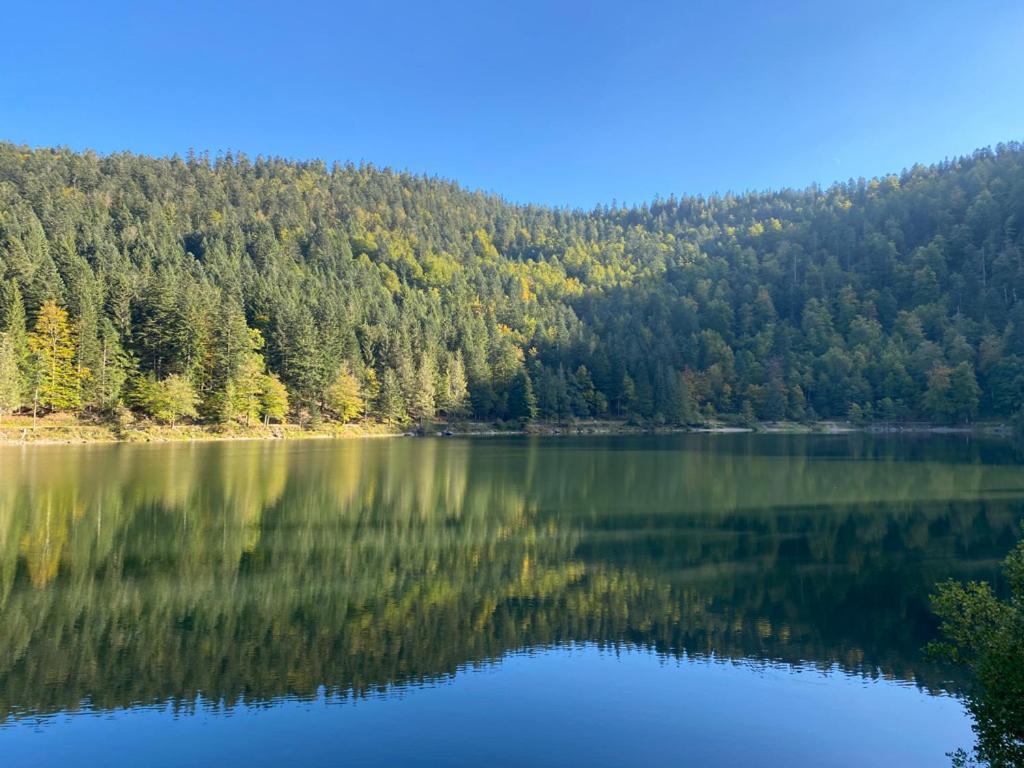 Le Bois Des Neiges Charmant Chalet Authentique A 5 Mn De Gerardmer Ксонруп-Лонжеме Екстериор снимка
