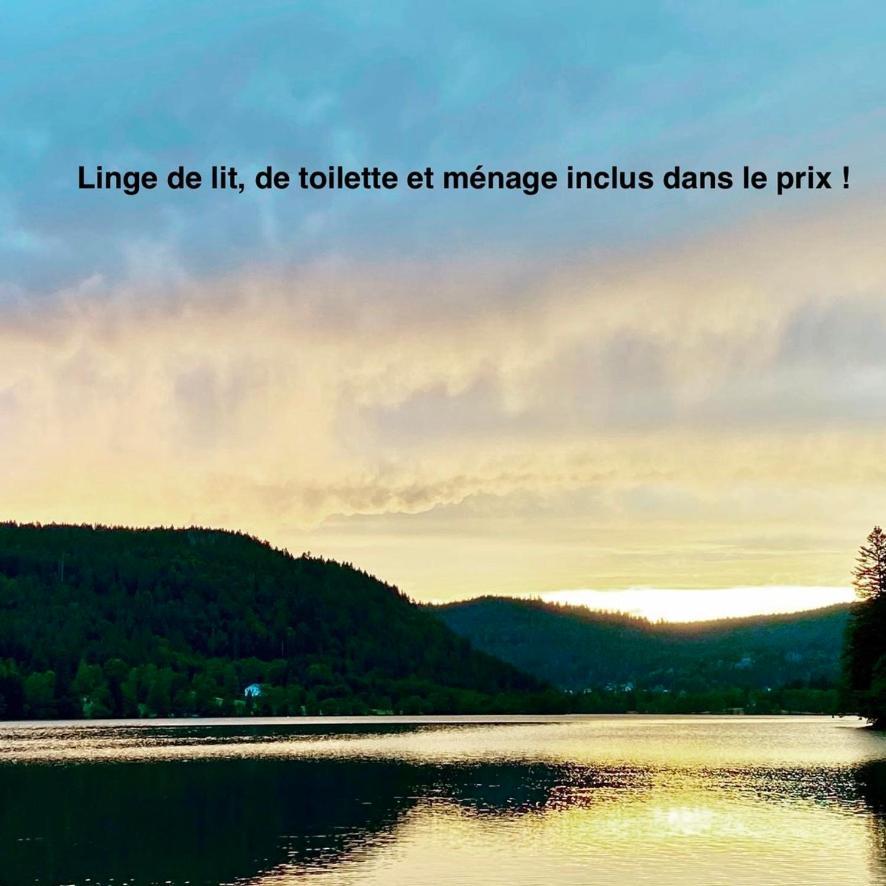 Le Bois Des Neiges Charmant Chalet Authentique A 5 Mn De Gerardmer Ксонруп-Лонжеме Екстериор снимка
